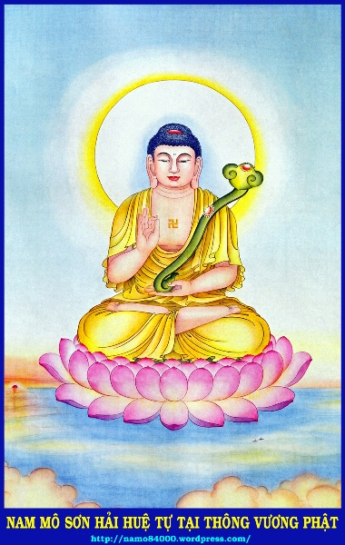 namo84000wordpresscom50-1.jpg