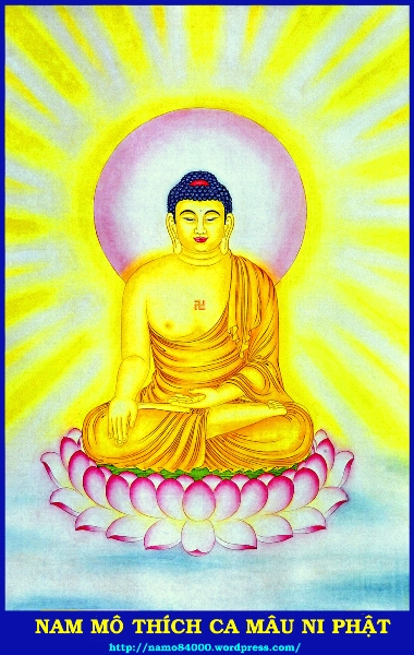 namo84000wordpresscom53-1.jpg
