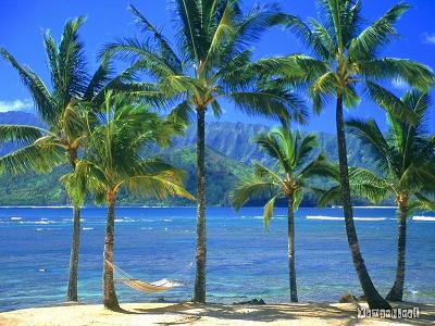 Beaches_17.jpg