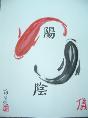 dsc00804.jpg