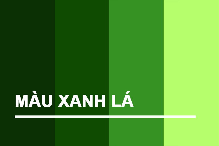 bang-mau-lanh-mau-xanh-la.jpg