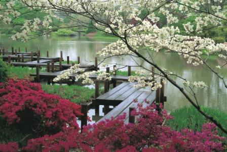 JapaneseGarden_JJennings1.jpg