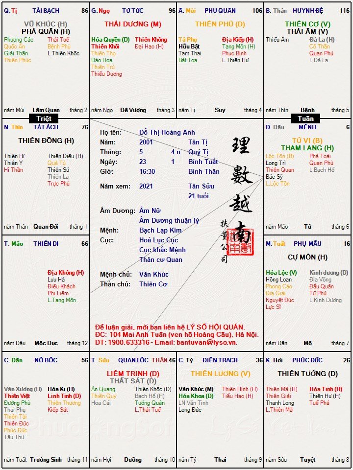 Đỗ Thị Hoàng Anh.jpg