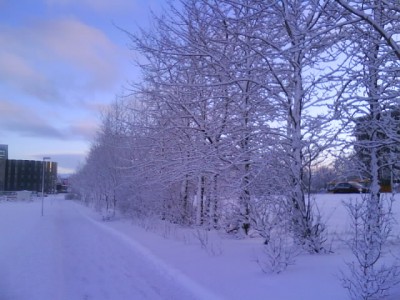Con đường ´´ bản tình ca mùa đông '' em đi bộ đi học hàng ngày  !