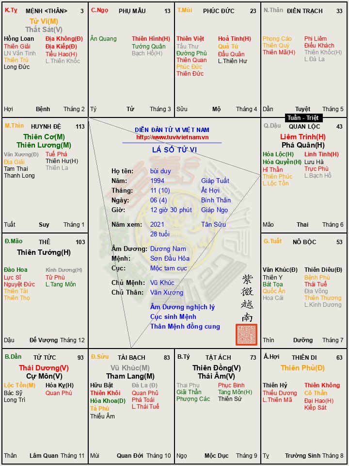 https___tuvivietnam.vn_wp-content_themes_smart-mag_lasotuvi_temp_bui_duy_2021_9781809d (2).jpg