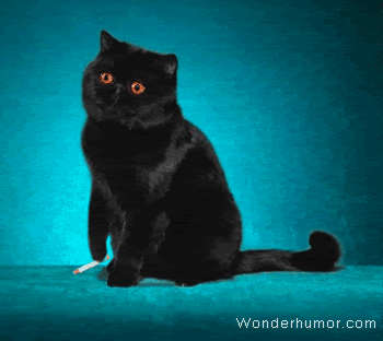 funny_animated_pictures_04.gif
