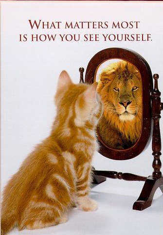 funny-cat-picture-cute-kitty-pic-kitten-looking-in-mirror-seeing-a-lion.jpg