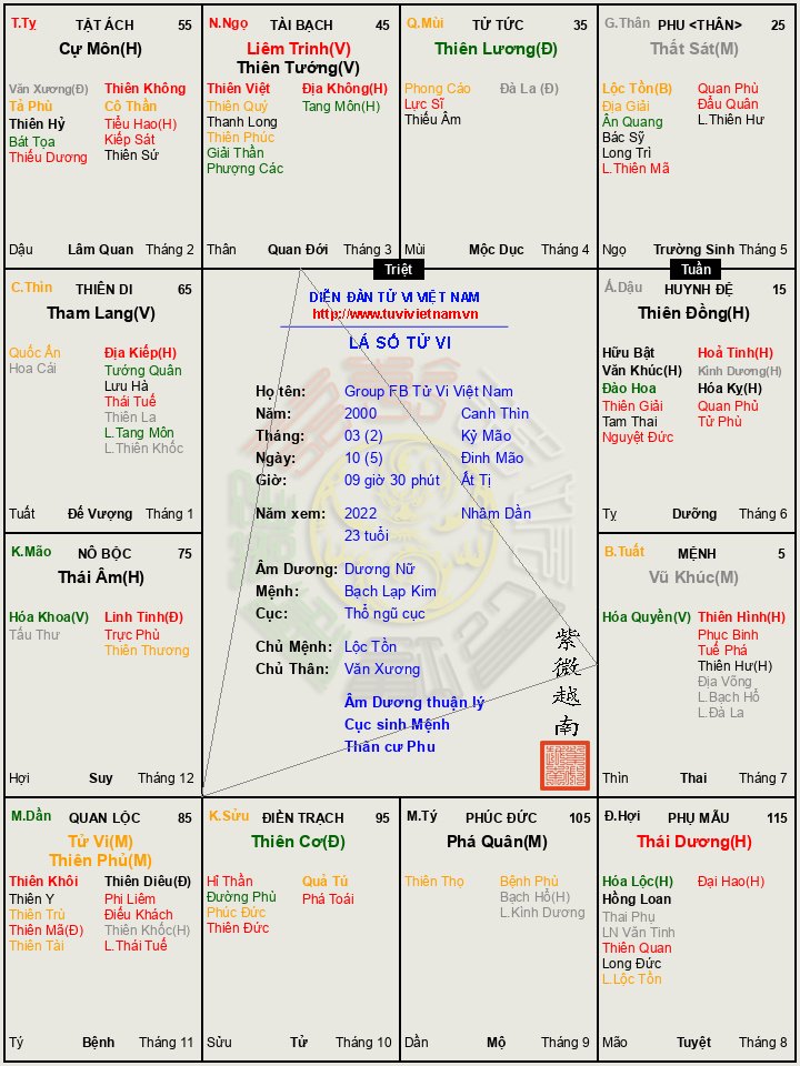 https___tuvivietnam.vn_wp-content_themes_smart-mag_lasotuvi_temp_Group_FB_Tu_Vi_Viet_Nam__2022_0977cea6.jpg