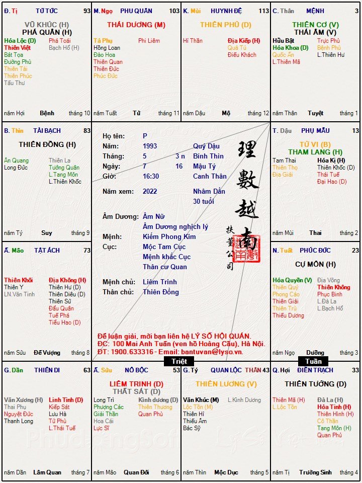 P4.jpg