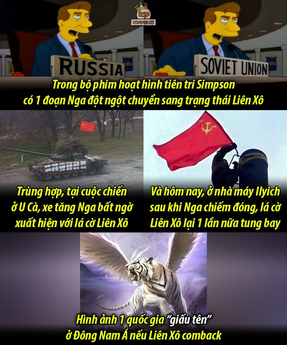 xovit.jpg