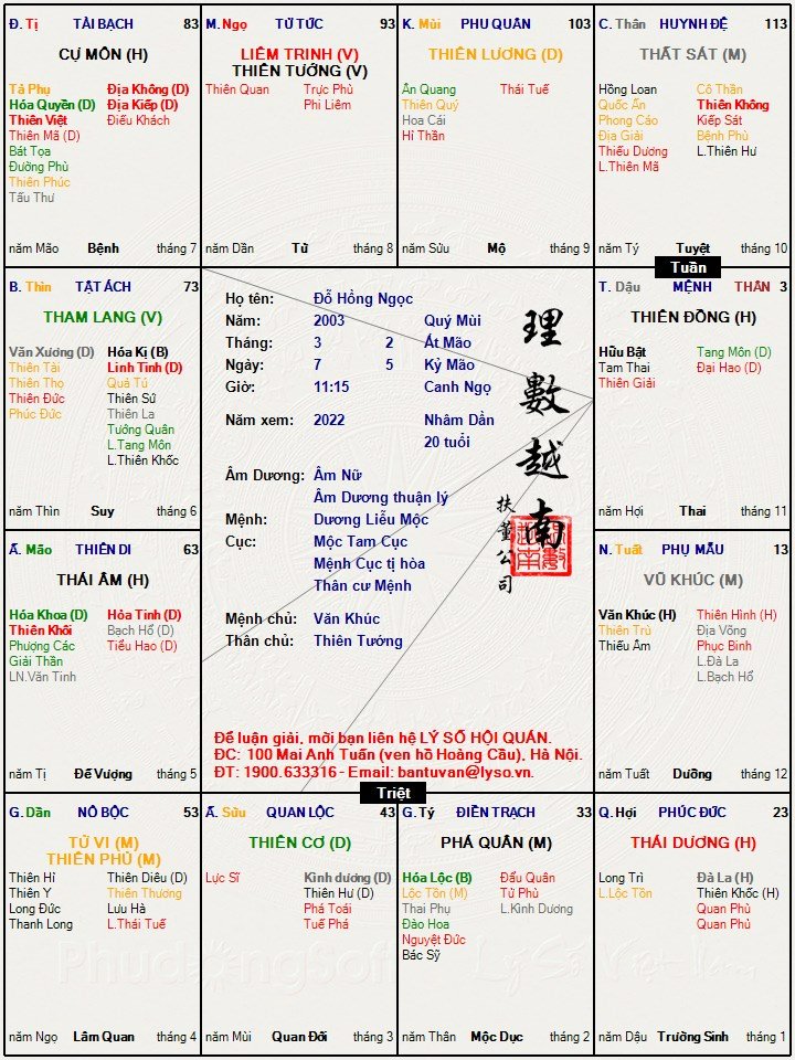 Đỗ Hồng Ngọc.jpg