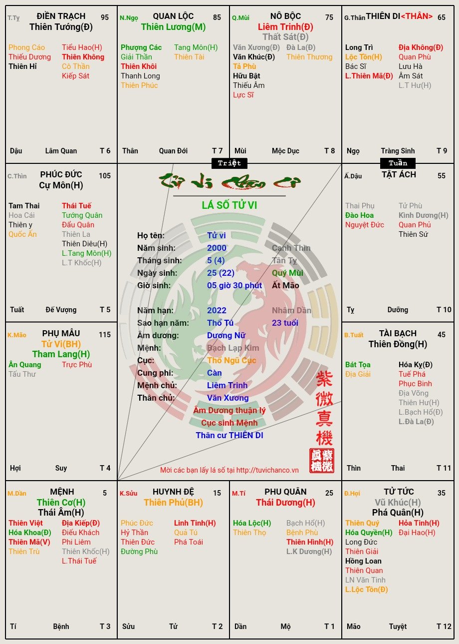 Tử vi.jpg