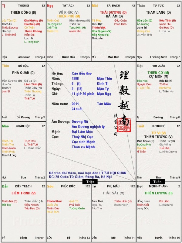 Cáo tiểu thư.jpg