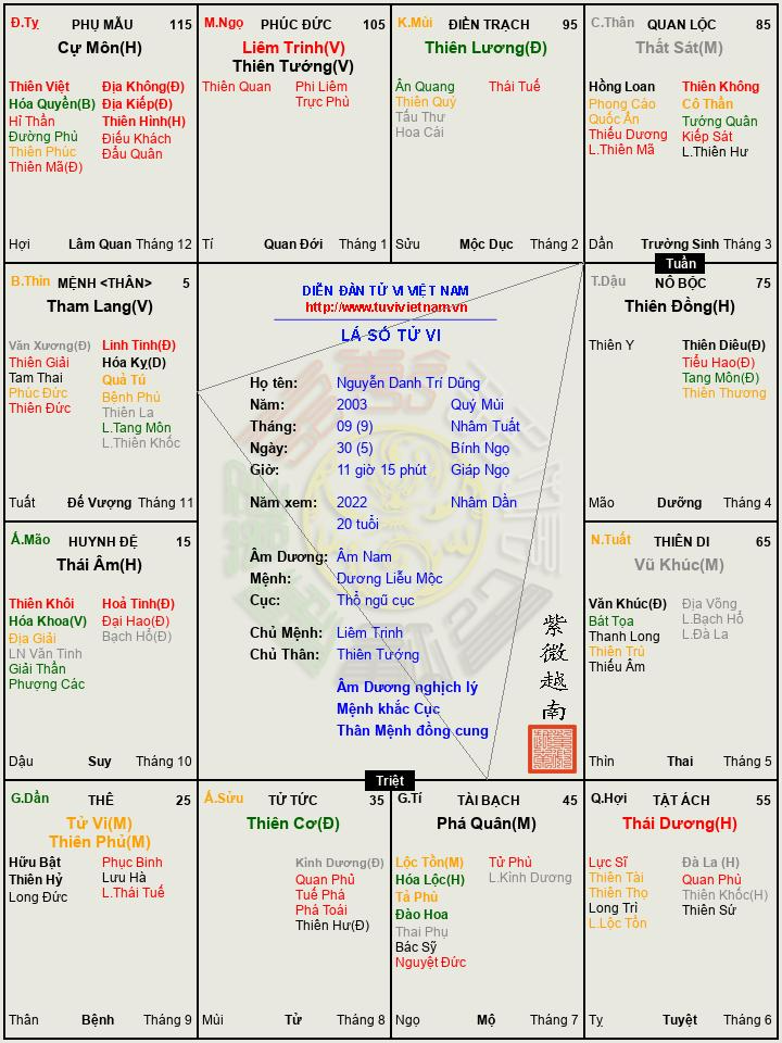 Nguyễn Danh Trí Dũng.png