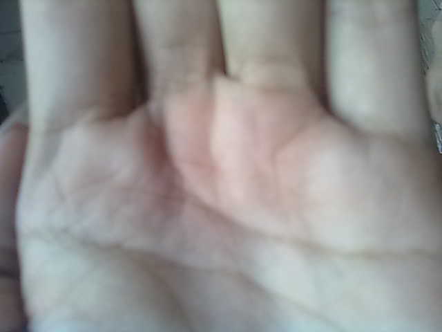 11082011105.jpg