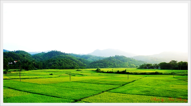 canh2.JPG