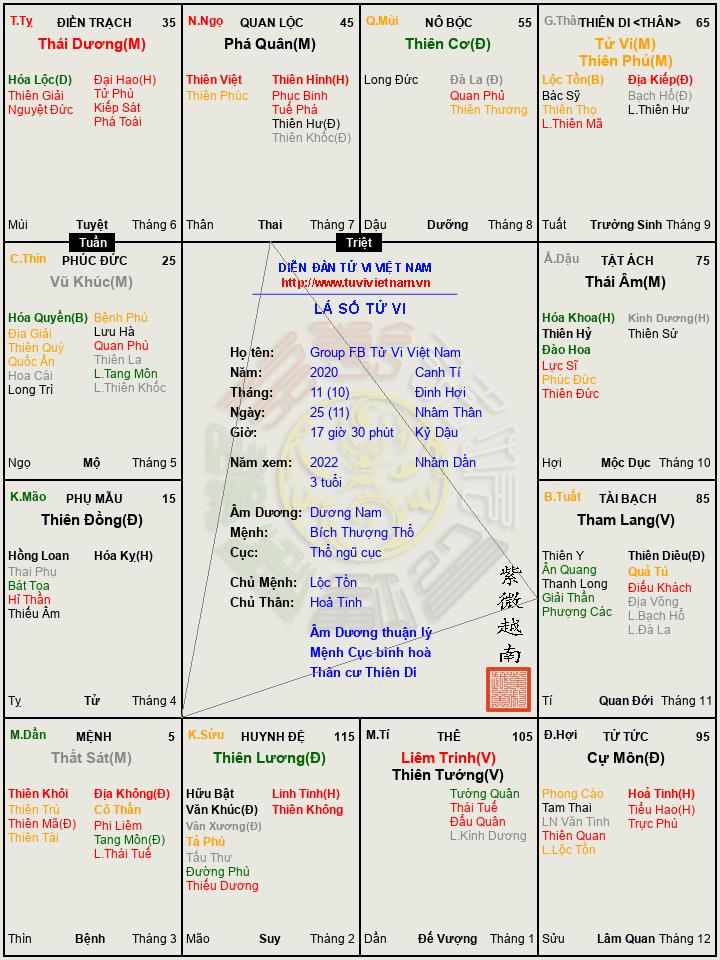 Group FB Tử Vi Việt Nam.png