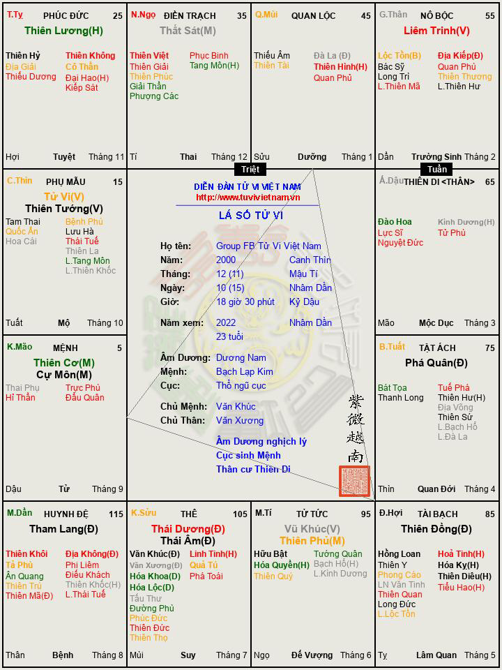 Group FB Tử Vi Việt Nam.png