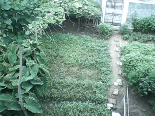 IMG0113A.jpg