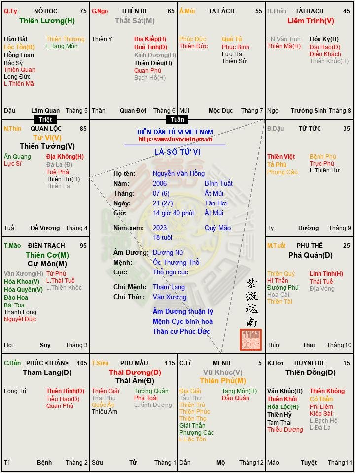 Nguyễn Vân Hồng.png.jpg