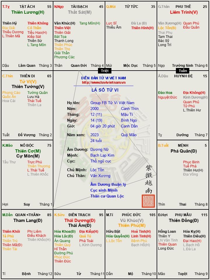 Group FB Tử Vi Việt Nam.png.jpeg