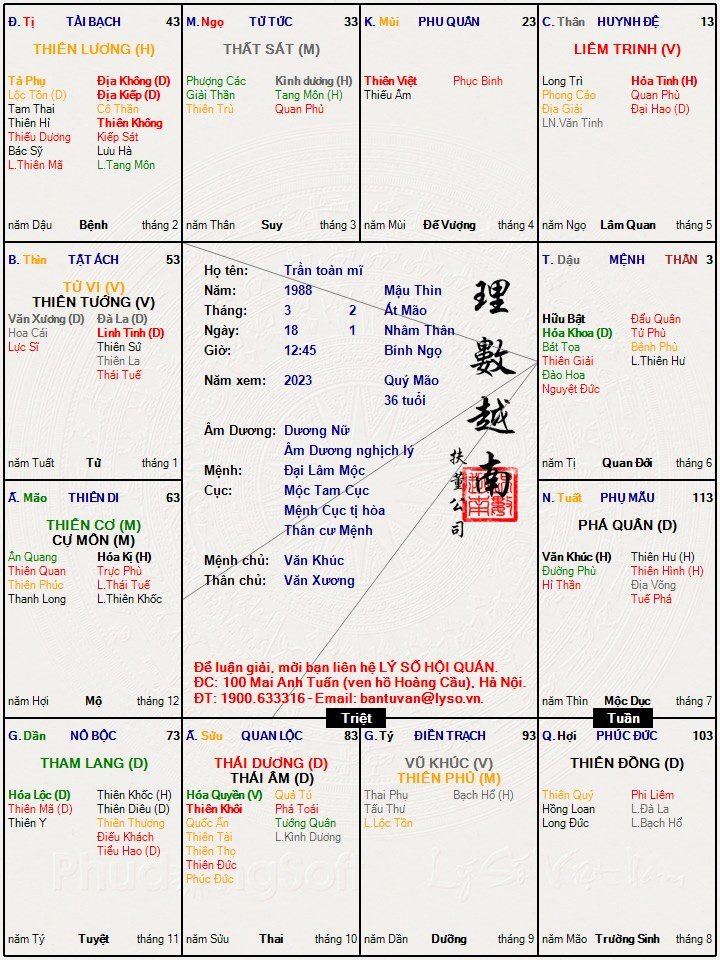 Trần toàn mĩ.jpg