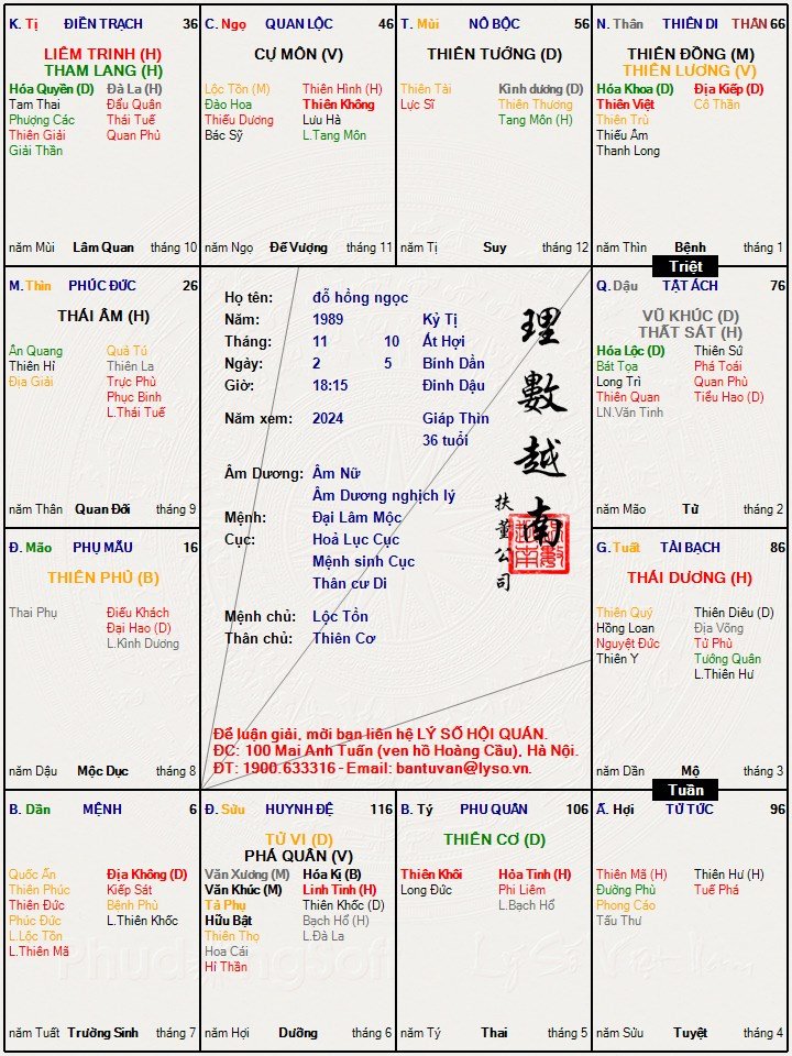 đỗ hồng ngọc.jpg