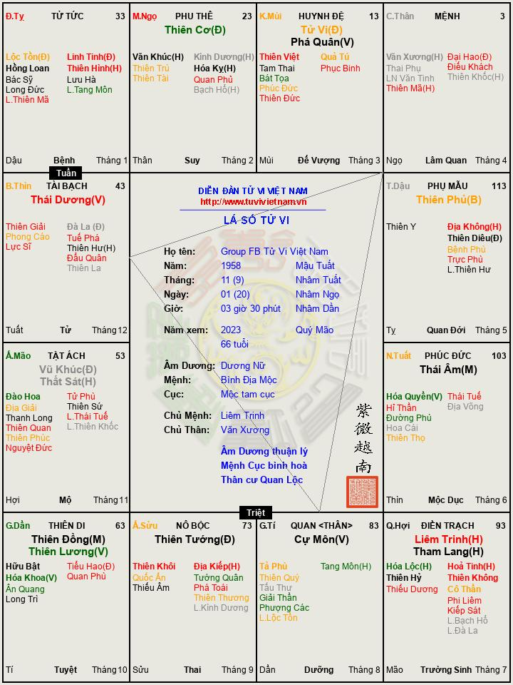 Group FB Tử Vi Việt Nam.png