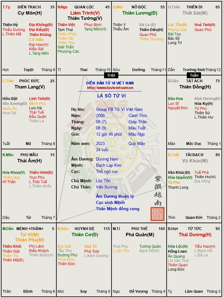Group FB Tử Vi Việt Nam.png.jpg