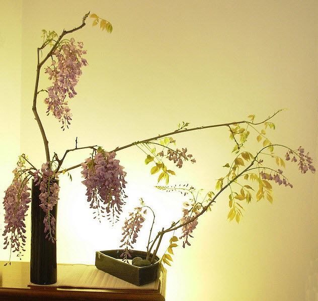 11-23-2010 12-09-13 PM.jpg