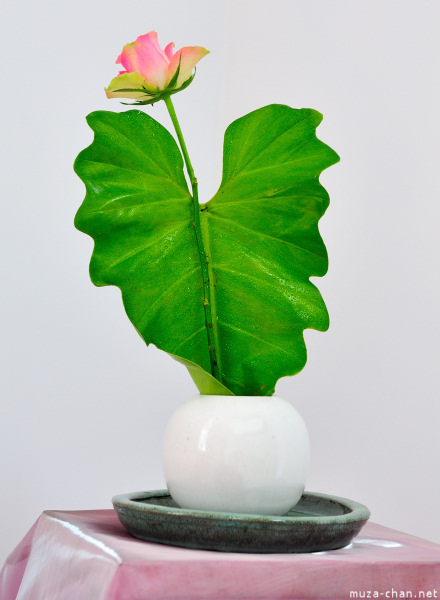 bucharest-botanical-garden-ikebana-03.jpg