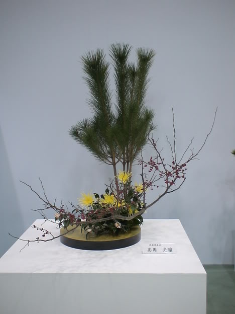 DSC00835.jpg