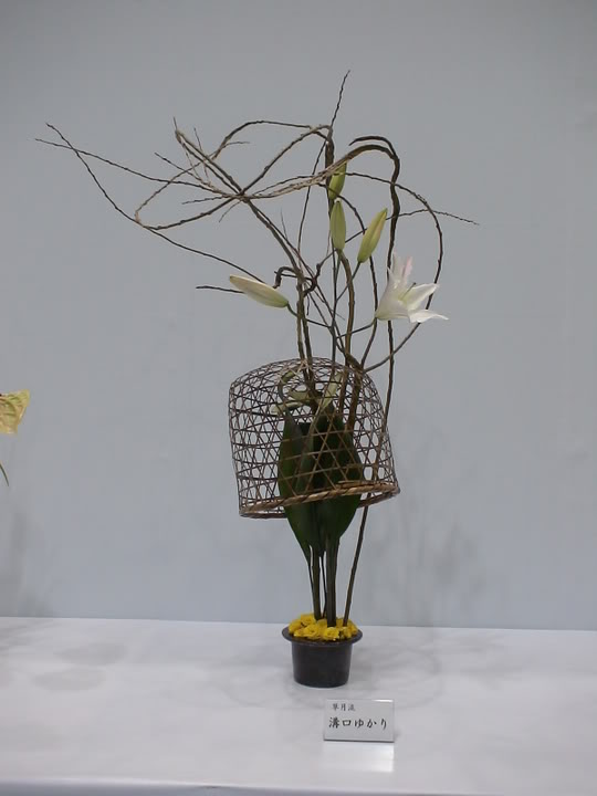 DSC00855.jpg