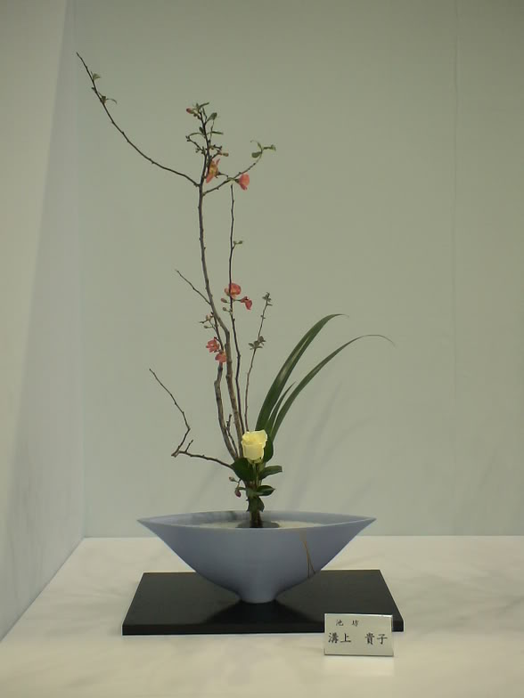 DSC00865.jpg