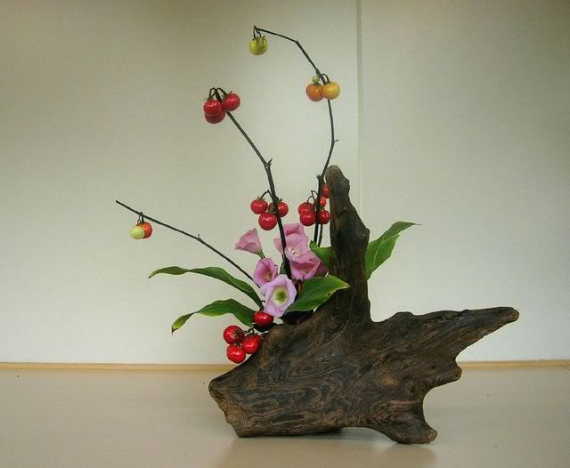 DSCN20531.jpg