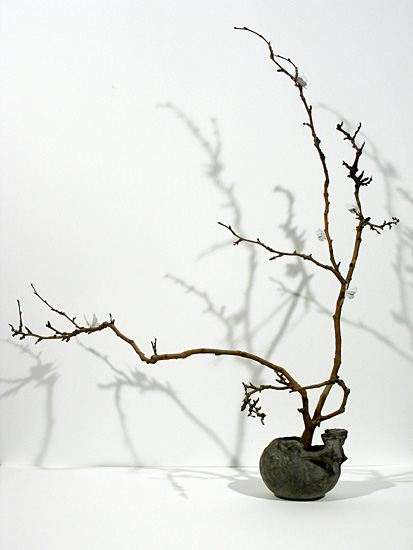 ikebana02 (1).jpg