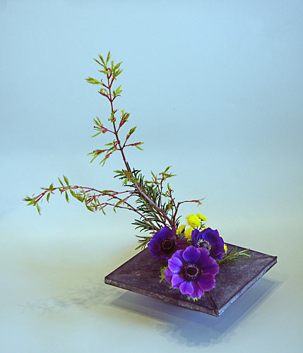 ikebana12.jpg