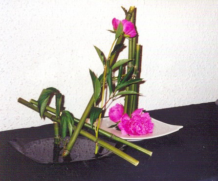 Ikebana0500R75-01.jpg