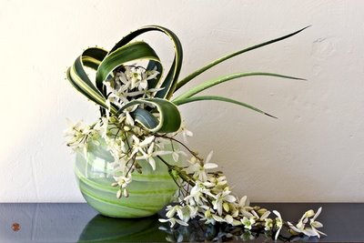 Ikebana-117.jpg