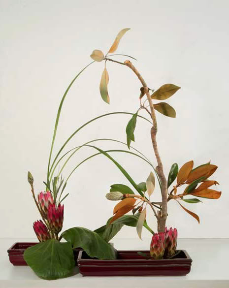 magnolia-protea-ikebana-1671.jpg