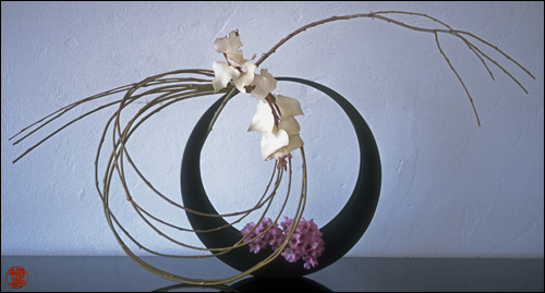 ikebana-000-.jpg