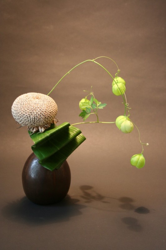 ikebana-2011-361-682x1024.jpg