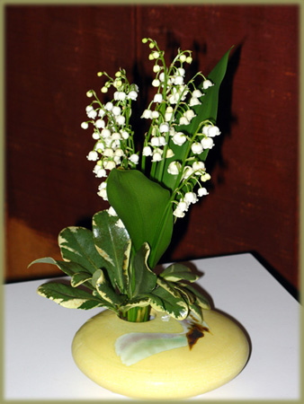 ikebana11.jpg