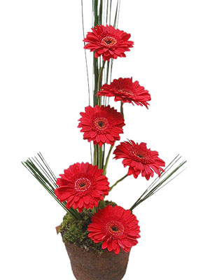 ikebana2.jpg