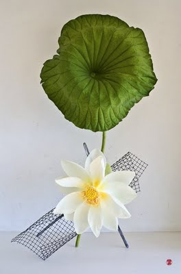 Ikebana-142.jpg