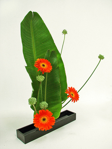 Ikebana-Madrid2-.jpg