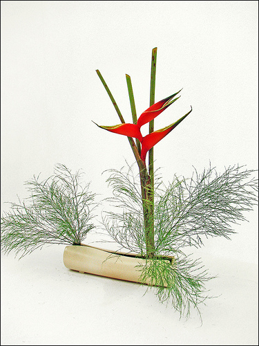 Ikebana-Madrid-41.jpg