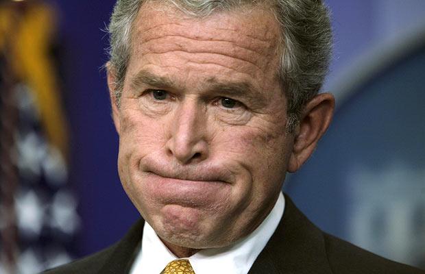 Bush 1.jpg