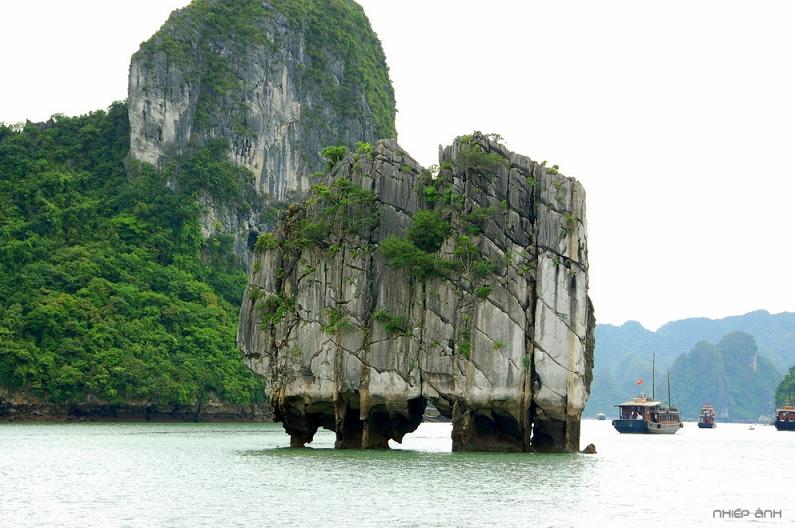 honluhuong.jpg