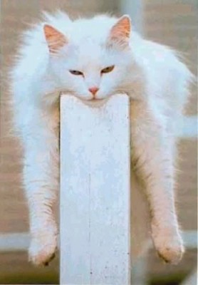 relax3.jpg